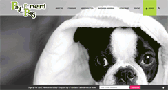 Desktop Screenshot of payitforwardforpets.org